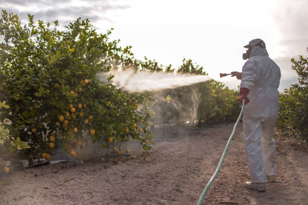 Best Emergency Pest Control  in Regency At Monroe, NJ